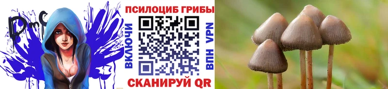Галлюциногенные грибы прущие грибы  где купить   дарк нет какой сайт  Ивангород 